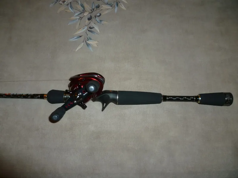 Quel moulinet pour une casting 5-21 - Shimano XT scorpion 1001 - Page 2 P1040421