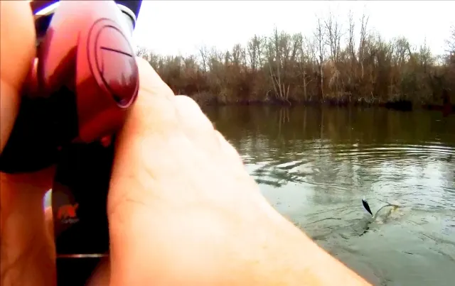 Quel moulinet pour une casting 5-21 - Shimano XT scorpion 1001 - Page 2 Scorpi10